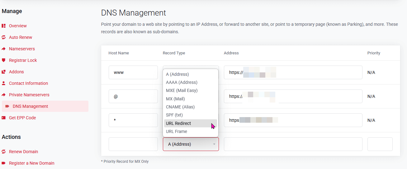 DNS Management URL Redirect Example