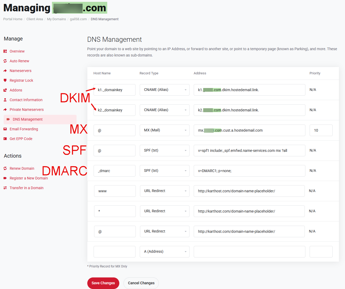 Example Enom Domain Name DNS