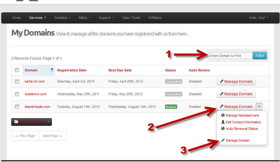 Login to KartHost Customer Center to Manage Domain Name Forwarding Step 2