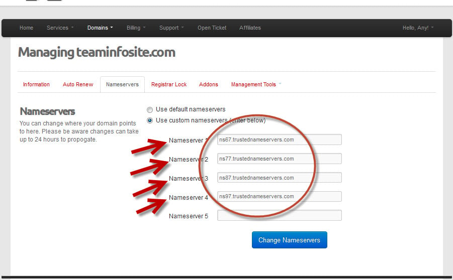 Login to KartHost Customer Center to Manage Domain Name Forwarding Step 4